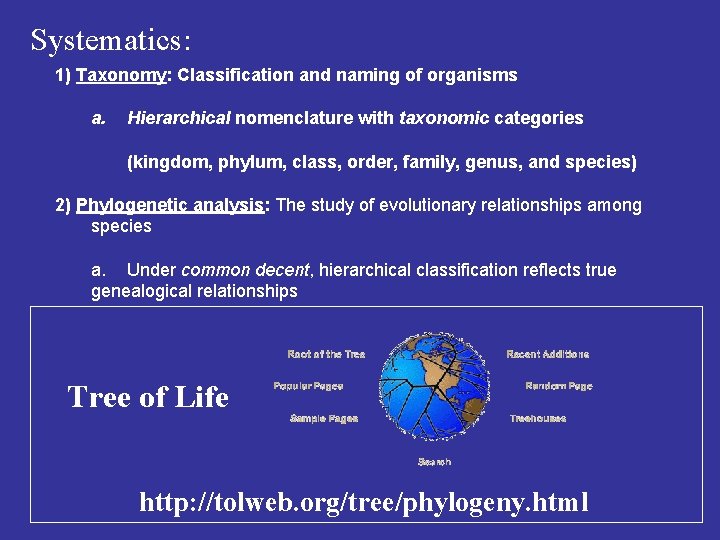 Systematics: 1) Taxonomy: Classification and naming of organisms a. Hierarchical nomenclature with taxonomic categories