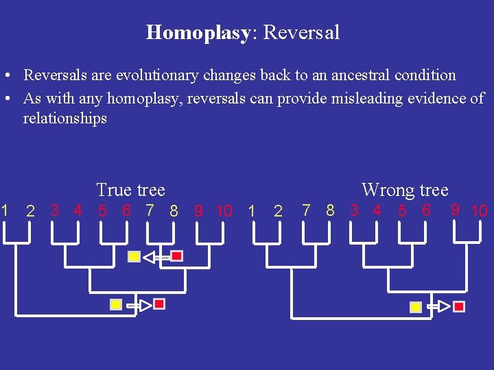 Homoplasy: Reversal • Reversals are evolutionary changes back to an ancestral condition • As