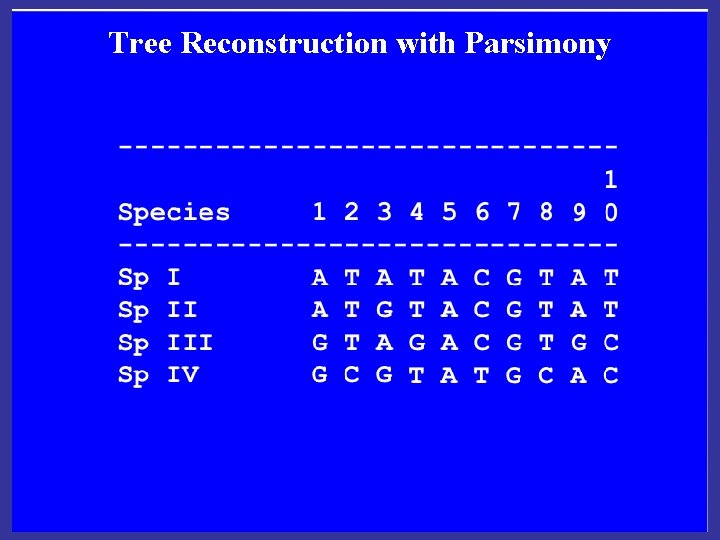 Tree Reconstruction with Parsimony 
