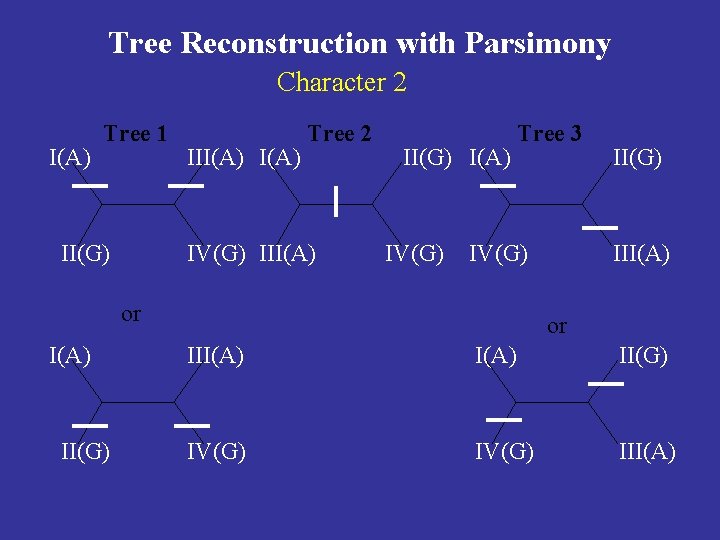 Tree Reconstruction with Parsimony Character 2 I(A) Tree 1 II(G) III(A) Tree 2 IV(G)