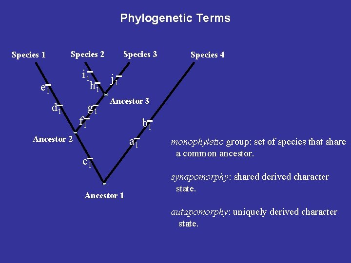 Phylogenetic Terms Species 2 Species 1 i 1 e 1 d 1 f 1