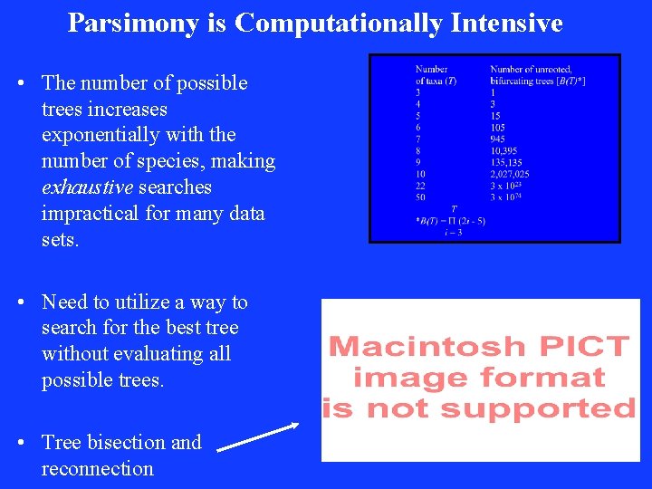 Parsimony is Computationally Intensive • The number of possible trees increases exponentially with the