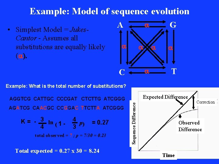 Example: Model of sequence evolution • Simplest Model = Jukes. Cantor - Assumes all