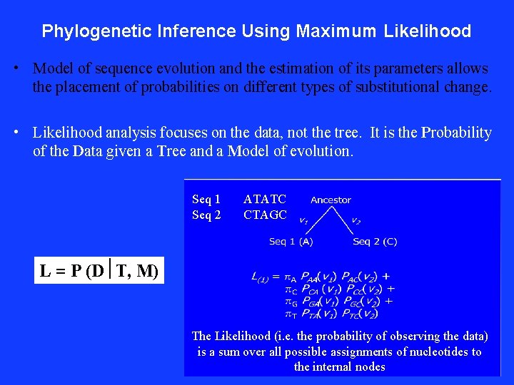 Phylogenetic Inference Using Maximum Likelihood • Model of sequence evolution and the estimation of