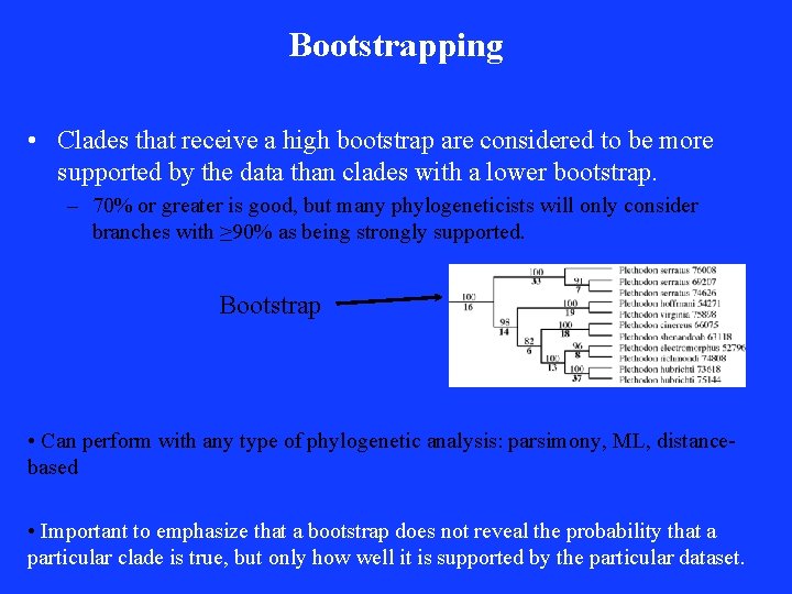 Bootstrapping • Clades that receive a high bootstrap are considered to be more supported Bootstrapping • Clades that receive a high bootstrap are considered to be more supported