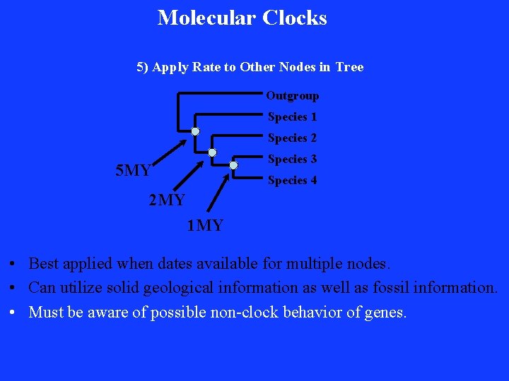 Molecular Clocks 5) Apply Rate to Other Nodes in Tree Outgroup Species 1 Species
