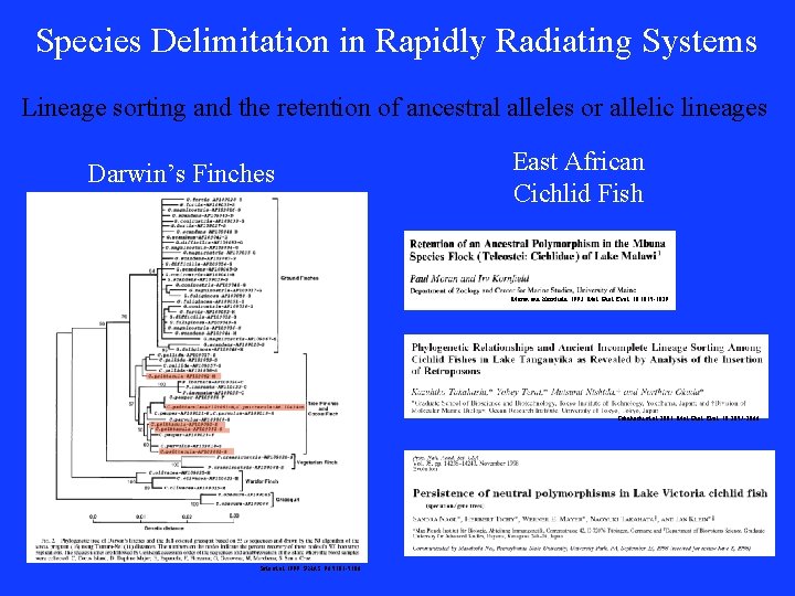 Species Delimitation in Rapidly Radiating Systems Lineage sorting and the retention of ancestral alleles