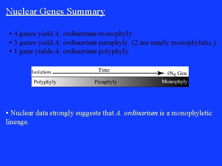 Nuclear Genes Summary • 4 genes yield A. ordinarium monophyly. • 3 genes yield