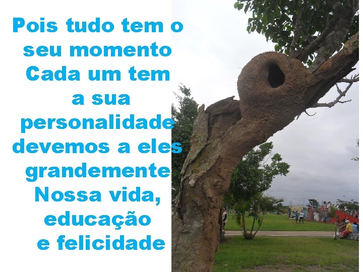 Pois tudo tem o seu momento Cada um tem a sua personalidade devemos a