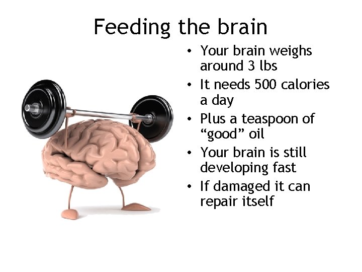 Feeding the brain • Your brain weighs around 3 lbs • It needs 500