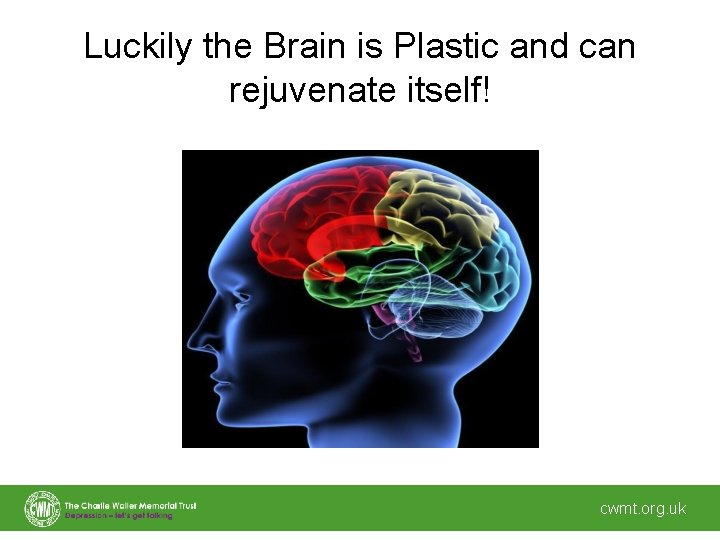 Luckily the Brain is Plastic and can rejuvenate itself! cwmt. org. uk 