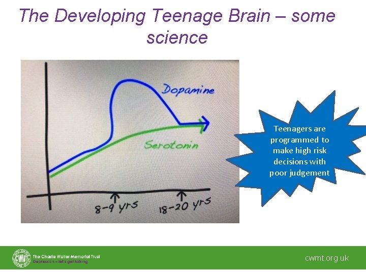 The Developing Teenage Brain – some science Teenagers are programmed to make high risk