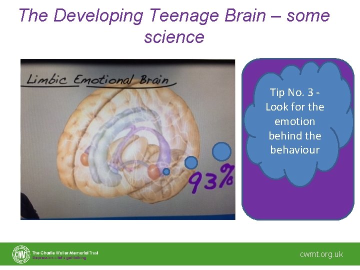 The Developing Teenage Brain – some science Tip No. 3 Look for the Peak