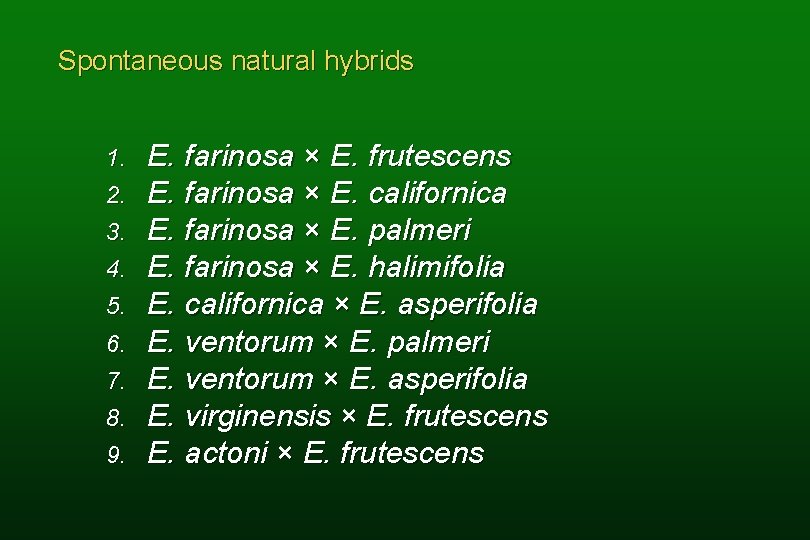 Spontaneous natural hybrids 1. 2. 3. 4. 5. 6. 7. 8. 9. E. farinosa