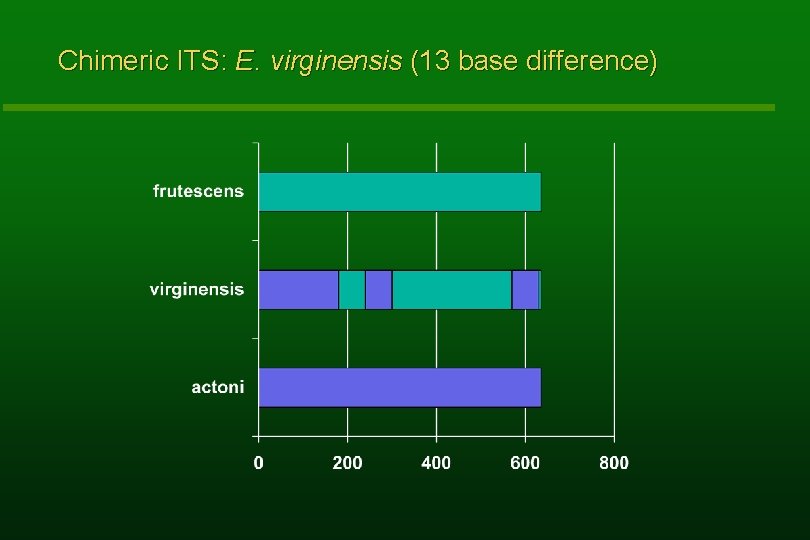 Chimeric ITS: E. virginensis (13 base difference) 