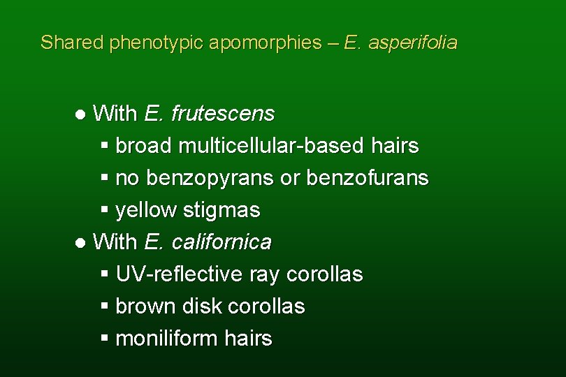 Shared phenotypic apomorphies – E. asperifolia With E. frutescens § broad multicellular-based hairs §