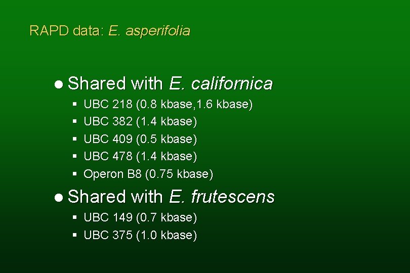RAPD data: E. asperifolia l Shared § § § with E. californica UBC 218