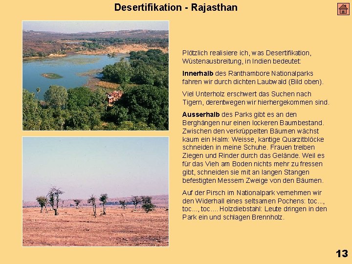 Desertifikation - Rajasthan Plötzlich realisiere ich, was Desertifikation, Wüstenausbreitung, in Indien bedeutet: Innerhalb des