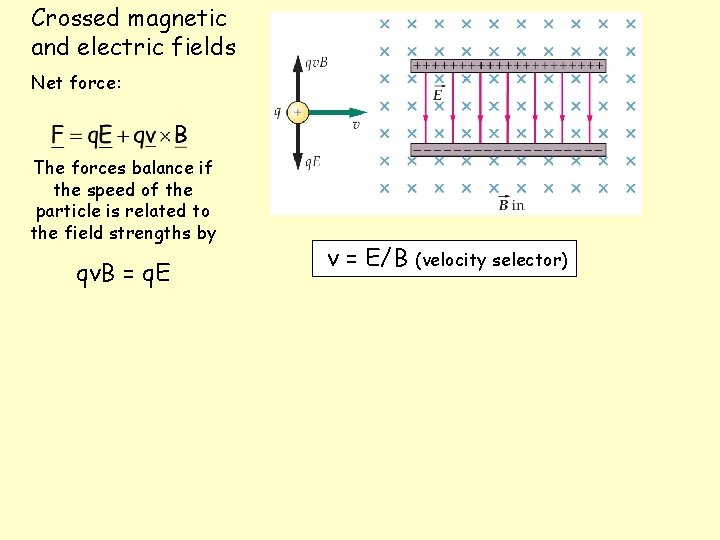 Crossed magnetic and electric fields Net force: The forces balance if the speed of