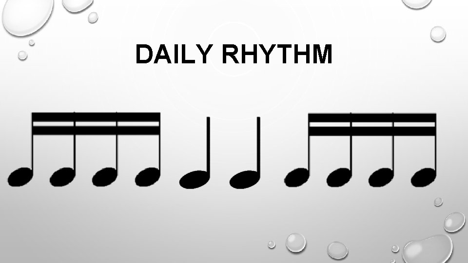 DAILY RHYTHM 