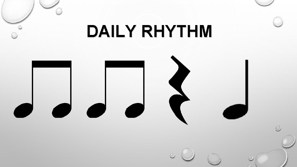 DAILY RHYTHM 