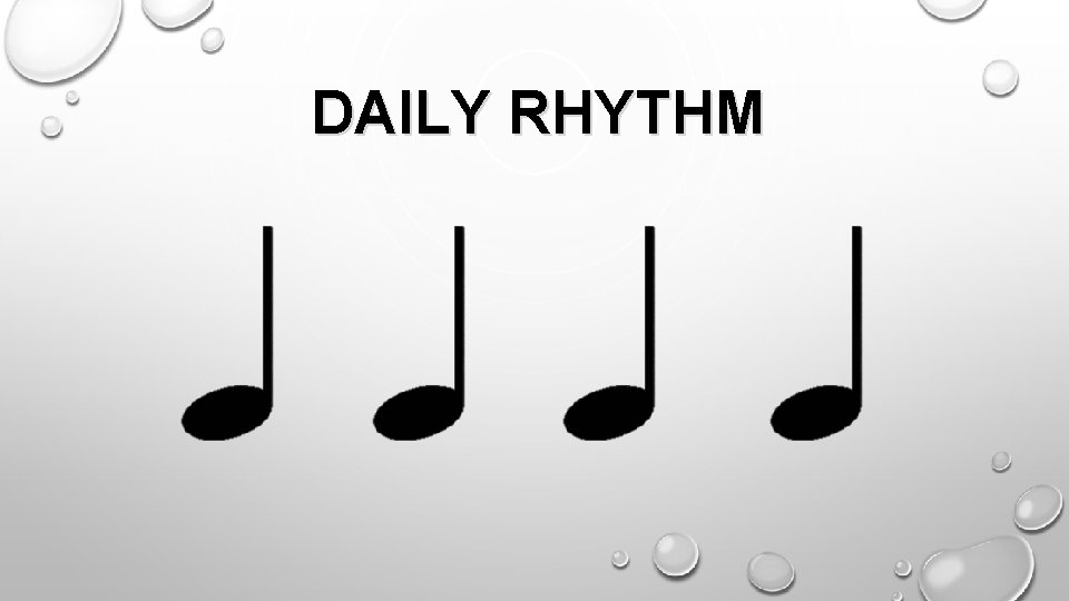 DAILY RHYTHM 