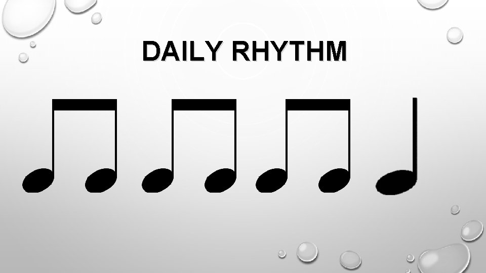 DAILY RHYTHM 