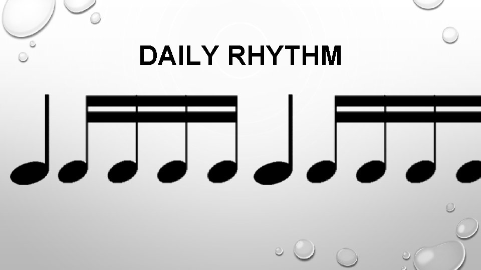 DAILY RHYTHM 