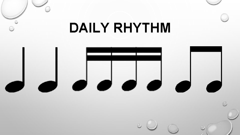 DAILY RHYTHM 