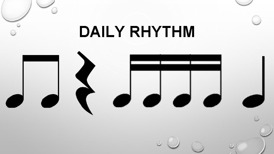 DAILY RHYTHM 