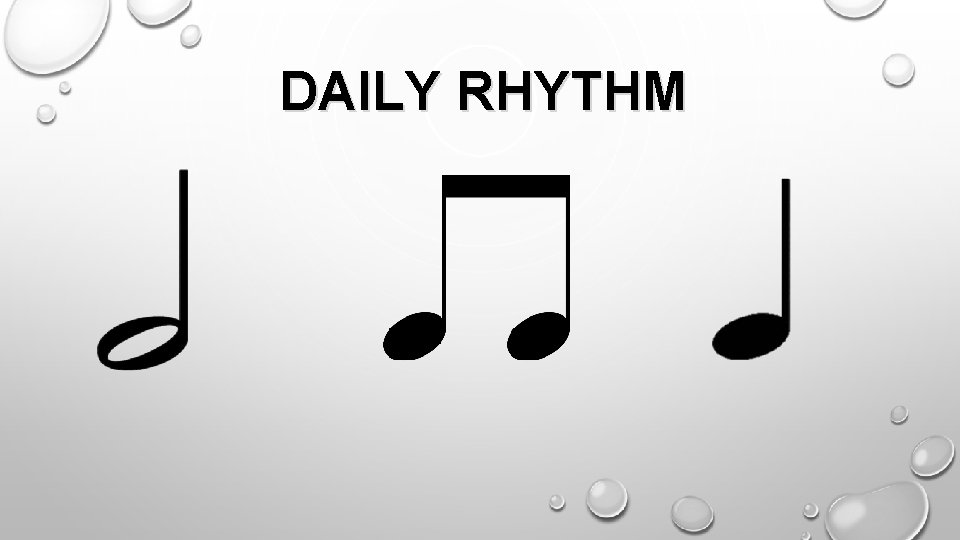 DAILY RHYTHM 