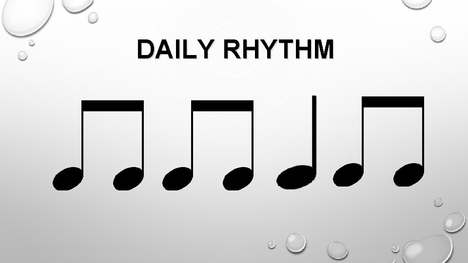 DAILY RHYTHM 