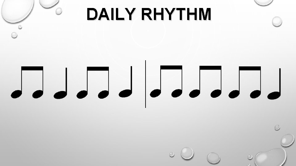 DAILY RHYTHM 