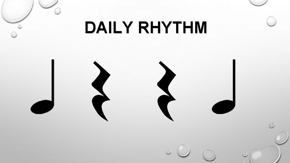 DAILY RHYTHM 