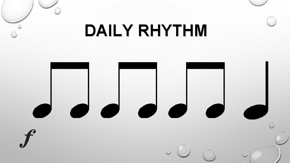 DAILY RHYTHM 