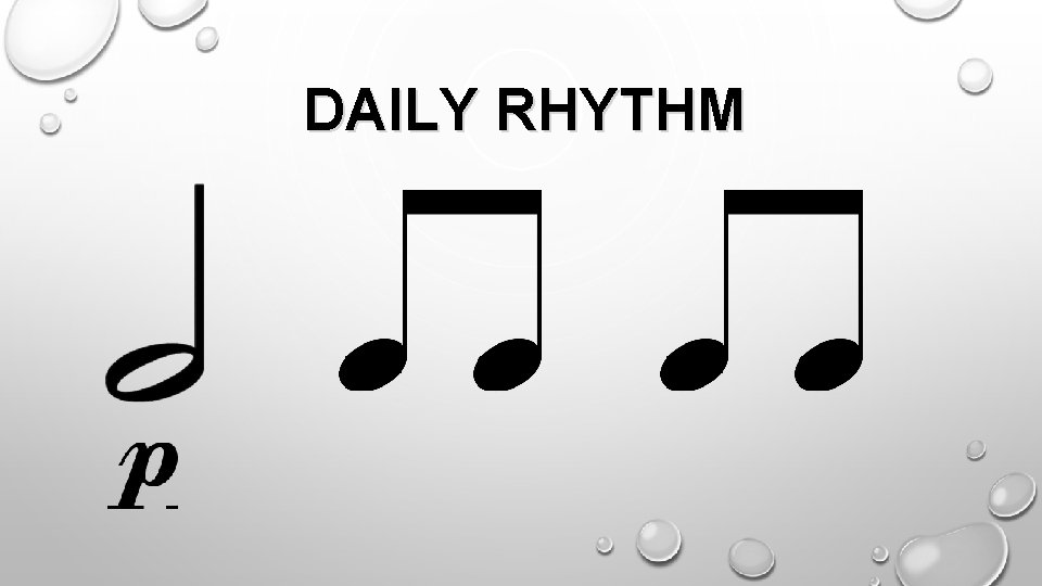 DAILY RHYTHM 