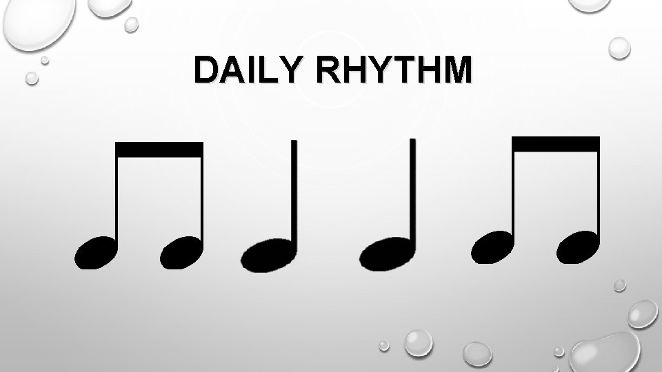 DAILY RHYTHM 