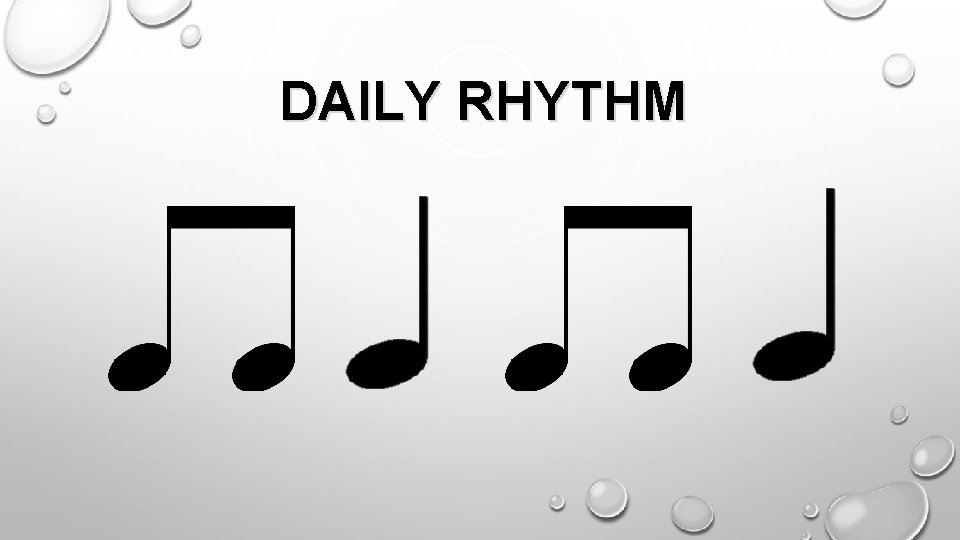 DAILY RHYTHM 