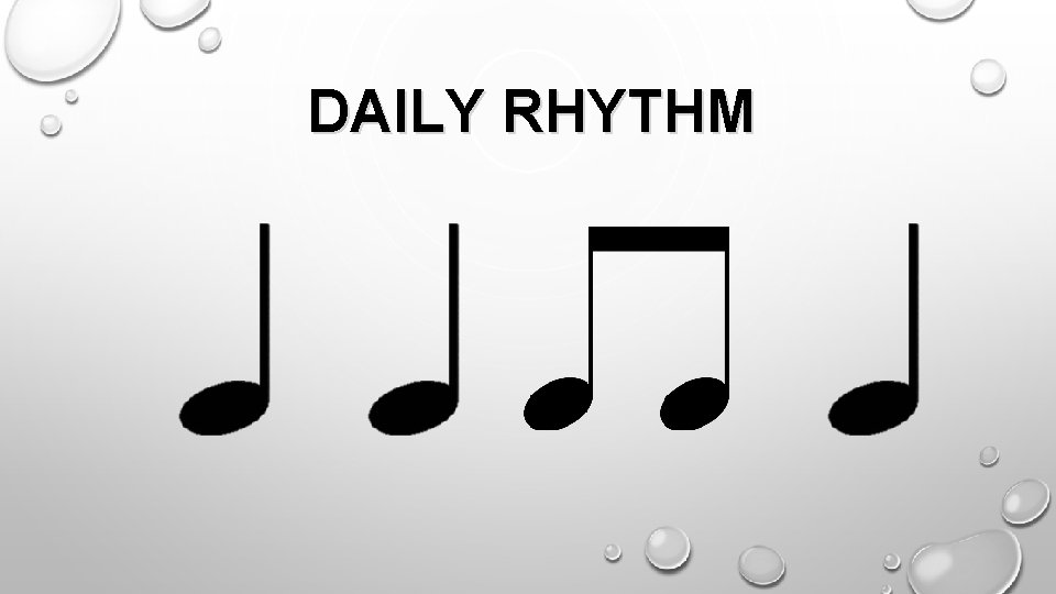 DAILY RHYTHM 