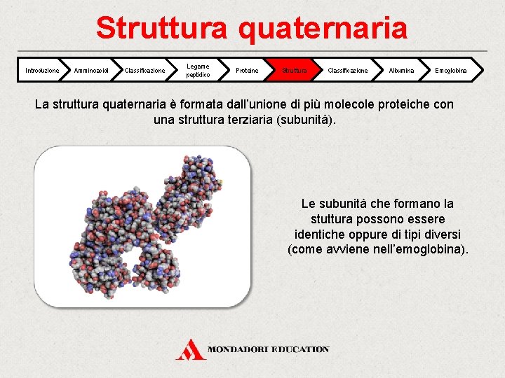 Struttura quaternaria Introduzione Amminoacidi Classificazione Legame peptidico Proteine Struttura Classificazione Albumina Emoglobina La struttura