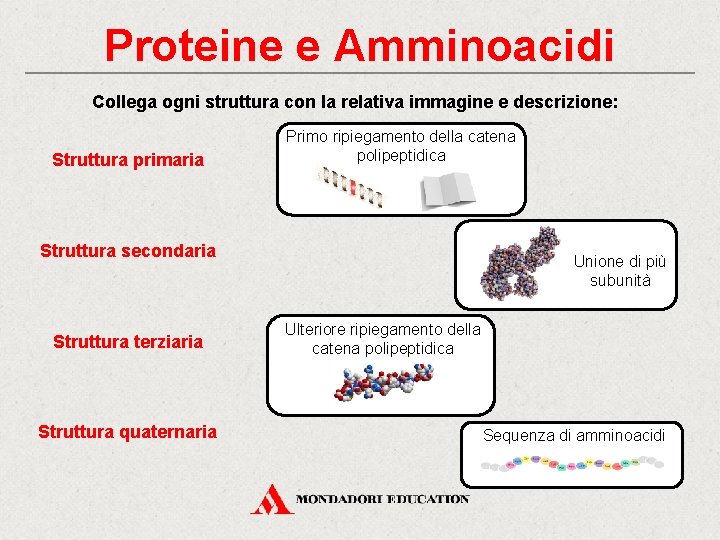 Proteine e Amminoacidi Collega ogni struttura con la relativa immagine e descrizione: Struttura primaria