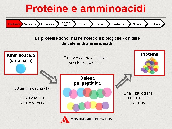 Proteine e amminoacidi Introduzione Amminoacidi Classificazione Legame peptidico Proteine Struttura Classificazione Albumina Emoglobina Le