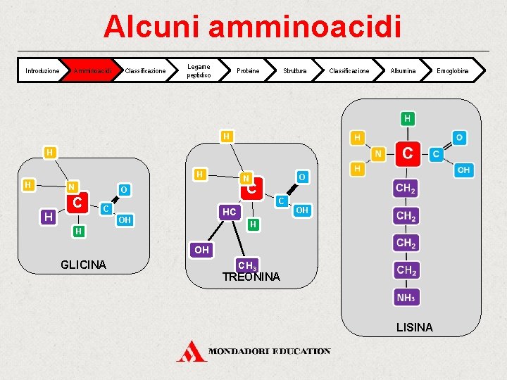 Alcuni amminoacidi Introduzione Amminoacidi Classificazione Legame peptidico Proteine Struttura Classificazione Albumina H H N