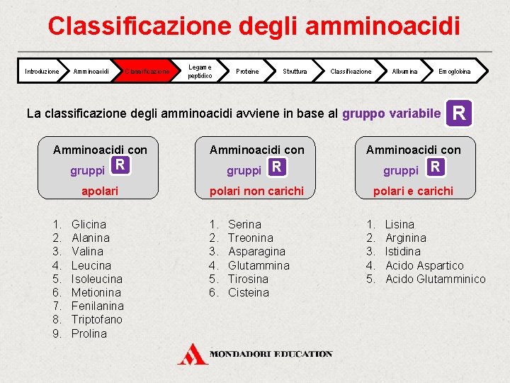 Classificazione degli amminoacidi Introduzione Classificazione Amminoacidi Legame peptidico Proteine Struttura Classificazione Albumina Emoglobina La