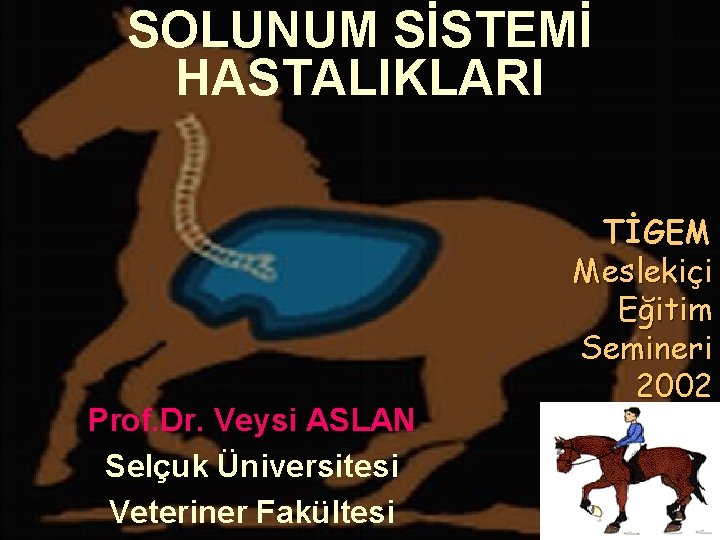 SOLUNUM SİSTEMİ HASTALIKLARI Prof. Dr. Veysi ASLAN Selçuk Üniversitesi Veteriner Fakültesi TİGEM Meslekiçi Eğitim