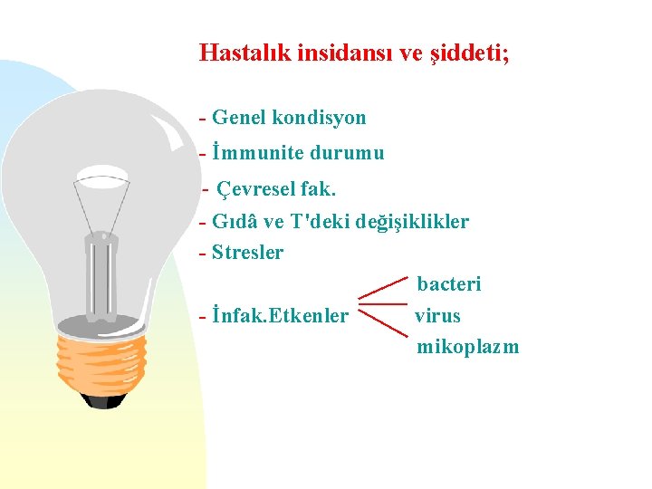 Hastalık insidansı ve şiddeti; - Genel kondisyon - İmmunite durumu - Çevresel fak. -