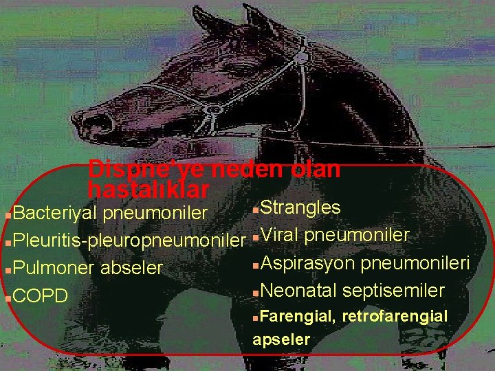 Dispne’ye neden olan hastalıklar n. Strangles Bacteriyal pneumoniler n. Viral pneumoniler n. Pleuritis-pleuropneumoniler n.