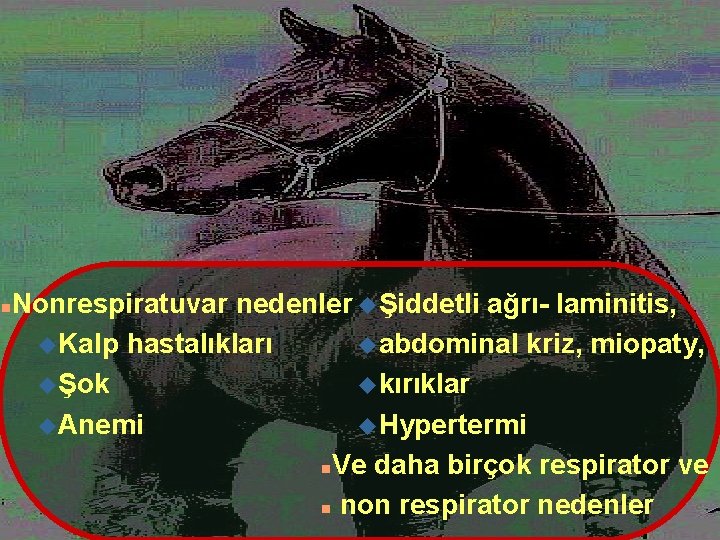 n Nonrespiratuvar nedenler uŞiddetli ağrı- laminitis, u. Kalp hastalıkları uabdominal kriz, miopaty, uŞok ukırıklar