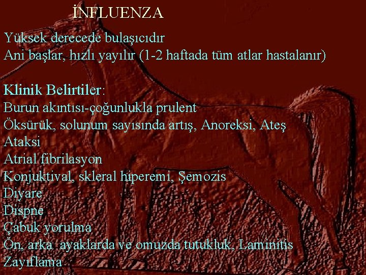  İNFLUENZA Yüksek derecede bulaşıcıdır Ani başlar, hızlı yayılır (1 2 haftada tüm atlar