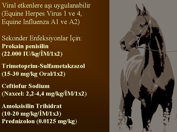 Viral etkenlere aşı uygulanabilir (Equine Herpes Virus 1 ve 4, Equine Influenza A 1